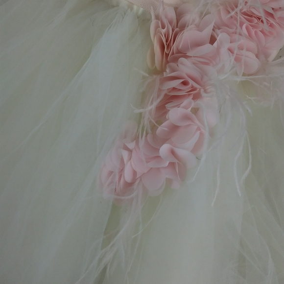 Zoe Ltd White Label Ivory Pink Formal Tulle Dress - Picture 4 of 7